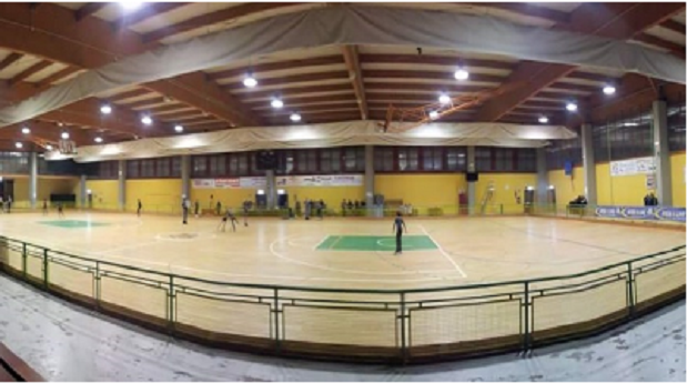 images/1-primo-piano/artistico/Immagine_palasport_calenzano.png