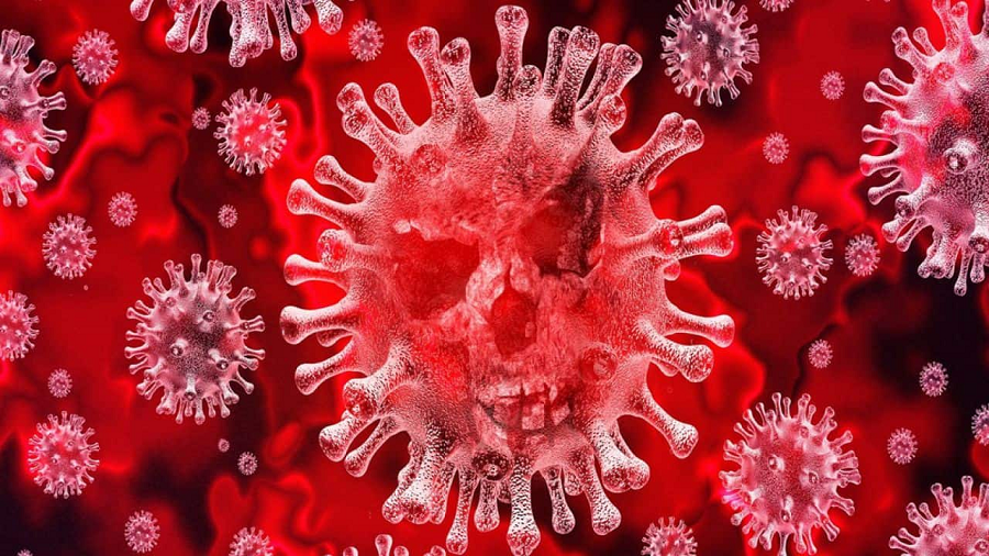 images/1-primo-piano/fihp/Immagine_coronavirus.png