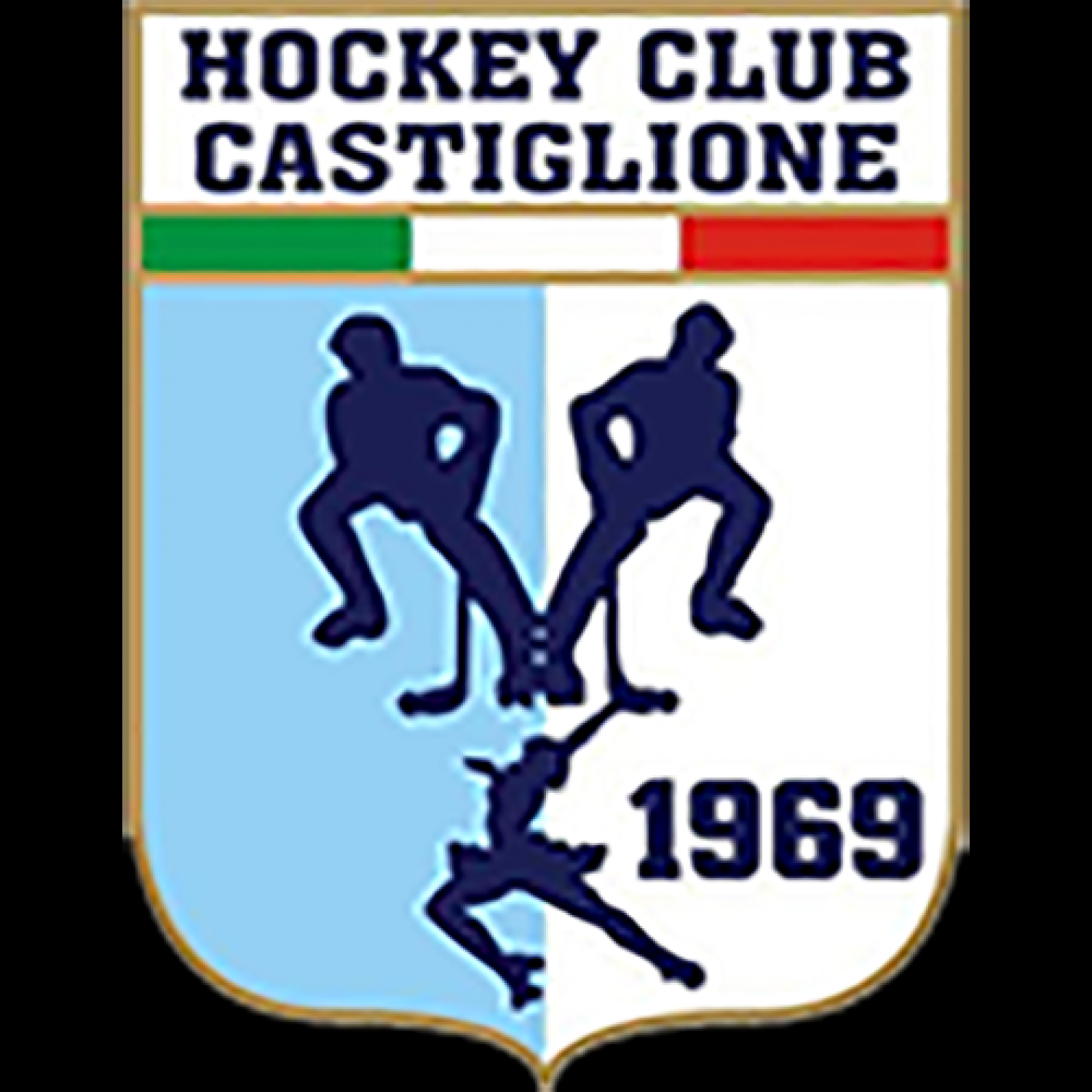 images/2021_foto_hockey_pista/medium/000000_castiglione_logo.png