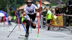 Alpine inline
