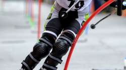 Alpine inline