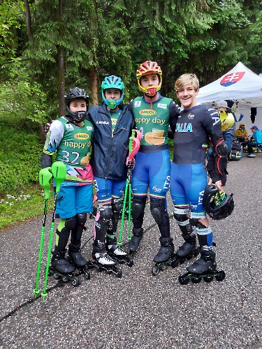Alpine inline