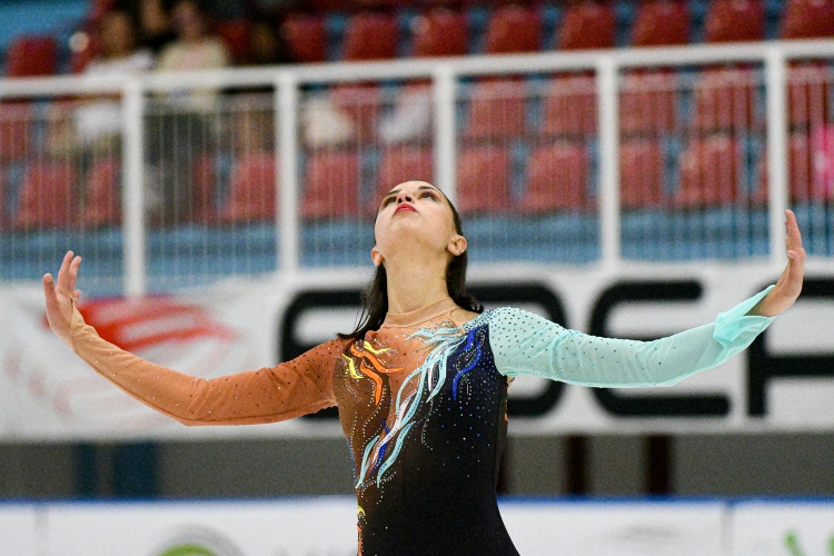  Campionati italiani categorie Divisione Nazionale A/B/C/D Singoli e Coppie artistico