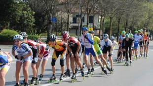 Roller Day Treviso 2014