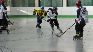 Trofeo Delle Regioni 2015 – “Memorial Sergio Stella” di Hockey In Line