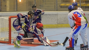 2016 Hockey Inline 