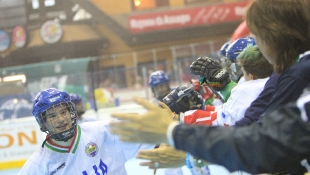 2016 Hockey Inline 