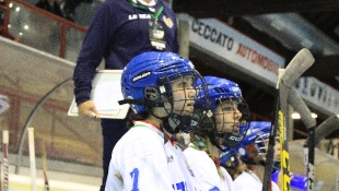 2016 Hockey Inline 