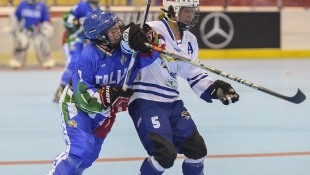2016 Hockey Inline 