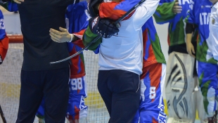 2016 Hockey Inline 