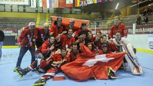 2016 Hockey Inline 