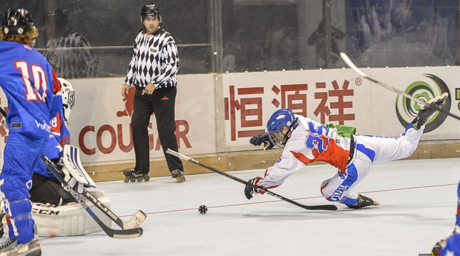 2017 Hockey Inline 