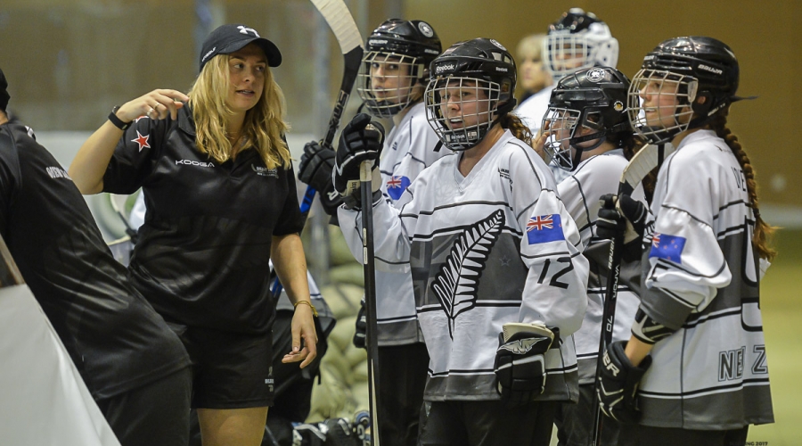 2017 Hockey Inline 