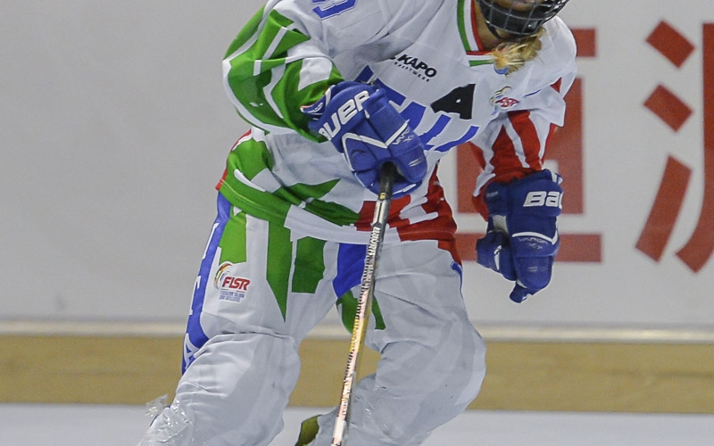 2017 Hockey Inline 
