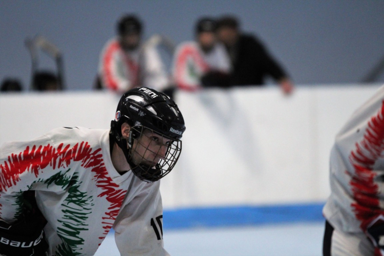Hockey Inline