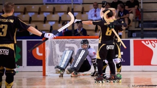 Quinta giornata del Campionato del Mondo di Hockey su Pista 2015 di La Roche sur Yon