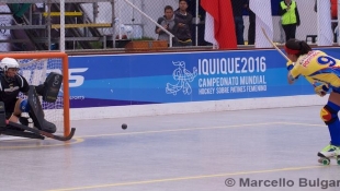 2016 Hockey Pista