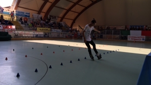 2016 Freestyle