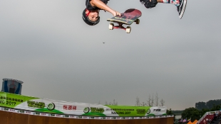 2017 Skateboard